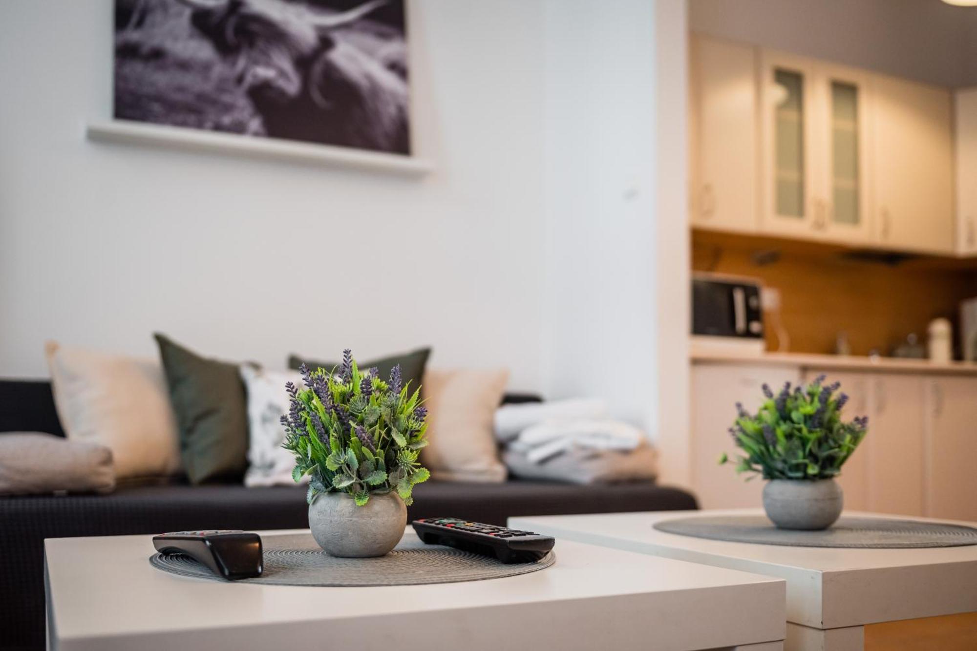 Apartment Krakowska City Center Wawelofts Dış mekan fotoğraf